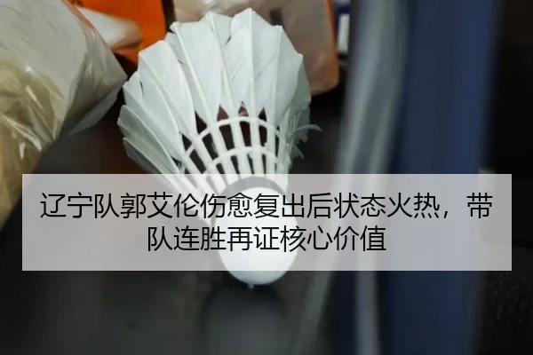 liao-ning-dui-guo-ai-lun-shang-yu-fu-chu-hou-zhuang-tai-huo-re-dai-dui-lian-sheng-zai-zheng-he-xin-jia-zhi-2-230.jpg