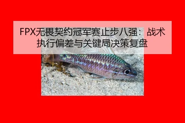 FPX无畏契约冠军赛止步八强：战术执行偏差与关键局决策复盘